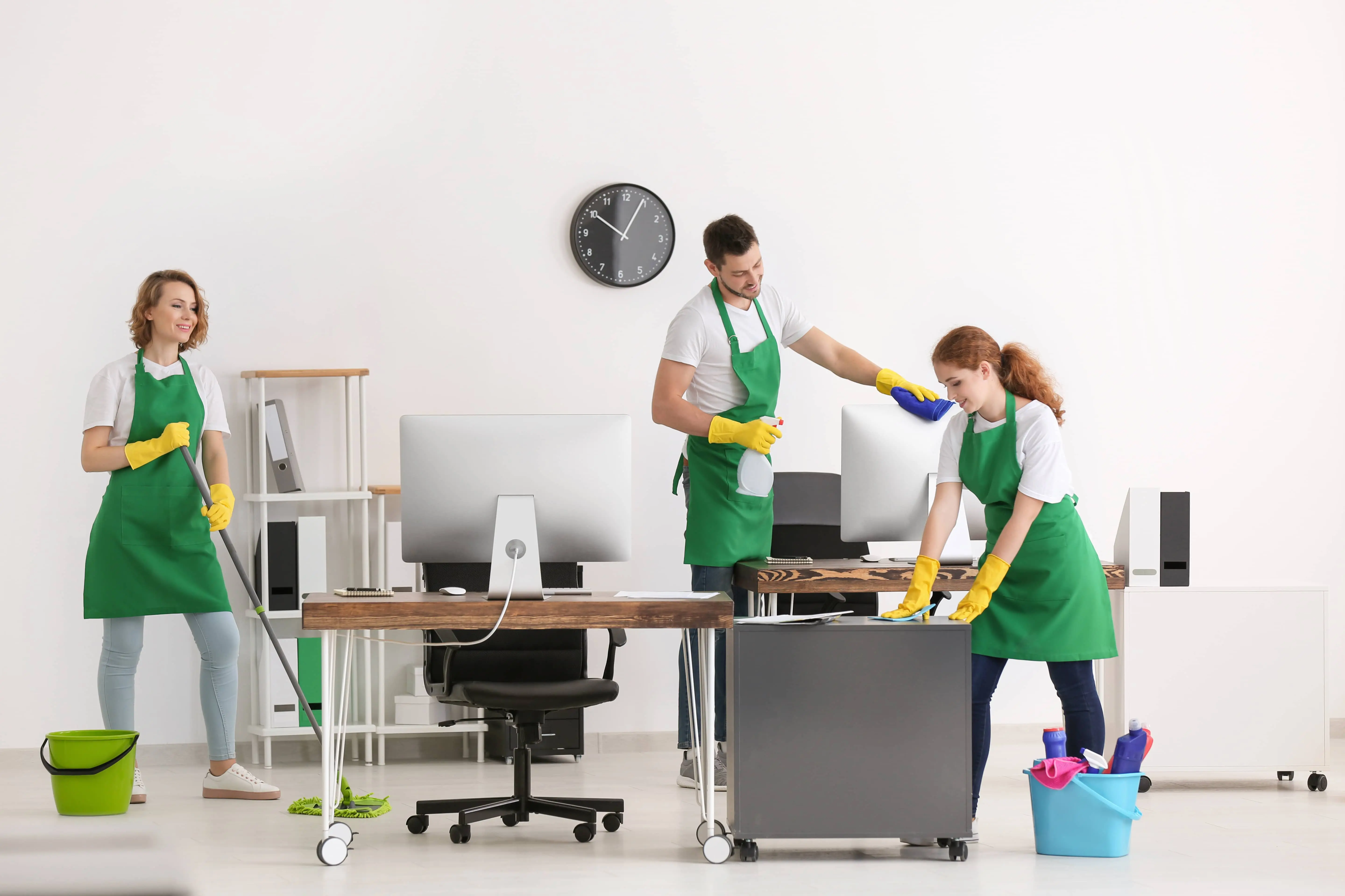 Professional cleaning team in Wetherill Park